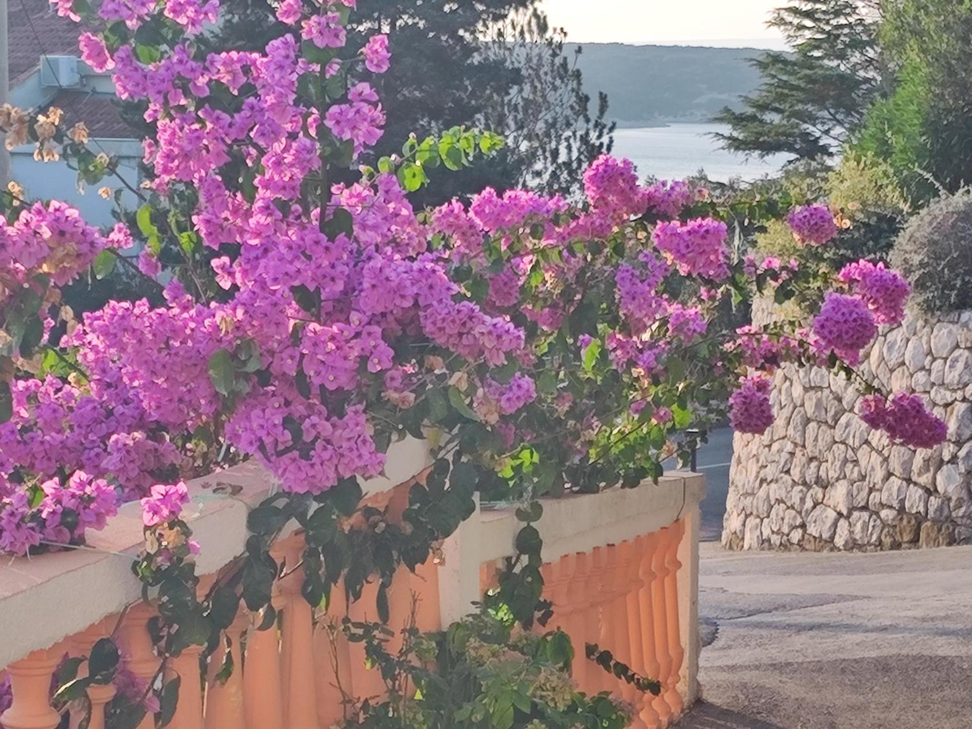 Apartment Stanka-Rab Kampor Екстериор снимка